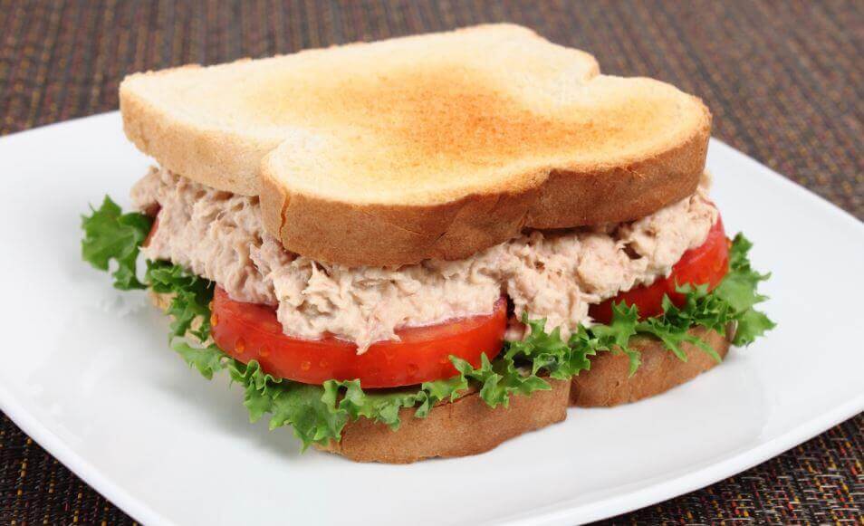 Prepare Um Delicioso Sandu Che De Atum Em Casa Melhor Sa De