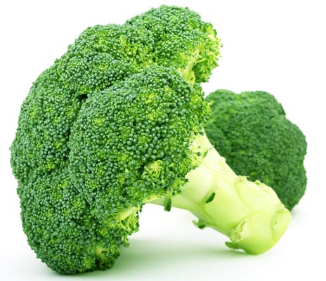 O brócolis pode melhorar a função do sistema imunológico