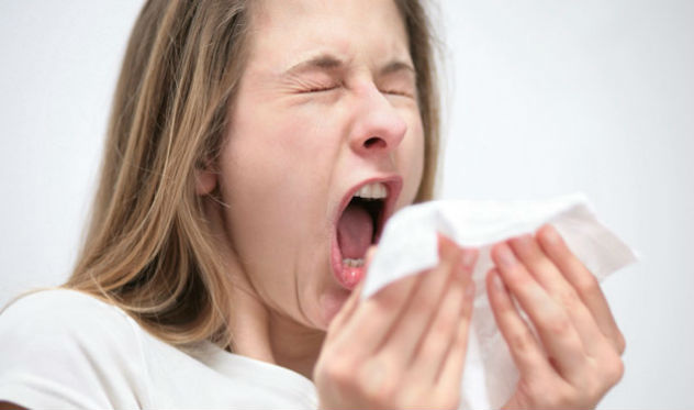 Gripe: um inconveniente do inverno ou uma doença de verdade? Gripe: um inconveniente do inverno ou uma doença de verdade?