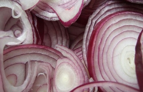 Antibióticos naturais: a cebola