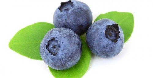 É possível tratar infecções urinárias com suco de mirtilos?