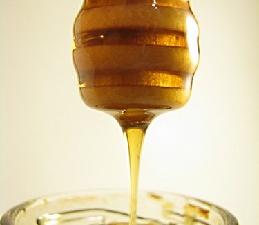 Antibióticos naturais: mel