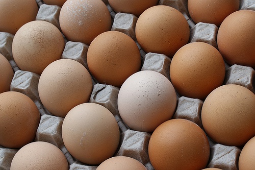 Afinal, comer ovo faz mal à saúde?