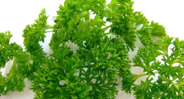 Cultivar alimentos como salsa em casa