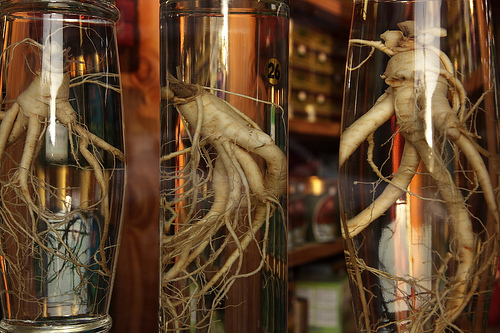 Ginseng ajuda a perder peso