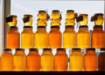 Os benefícios do mel