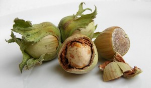 Benefícios da avelã crua