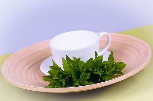 Benefícios do chá de menta