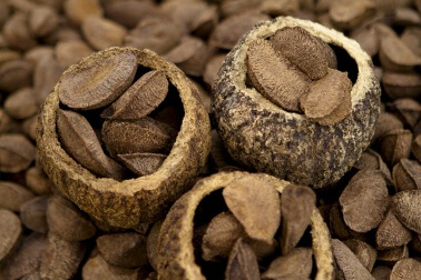 Na dieta mediterrânea à moda brasileira, substitui-se as nozes pela castanha-do-pará