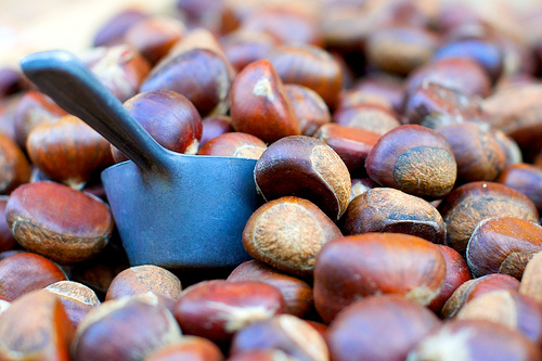 castanha.hiljainenmies