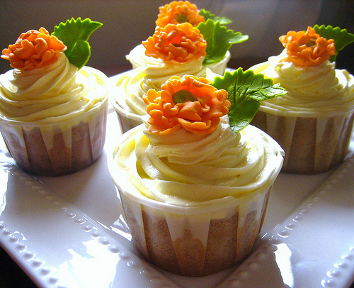 cenourabolo - Anita Jamal - flickr