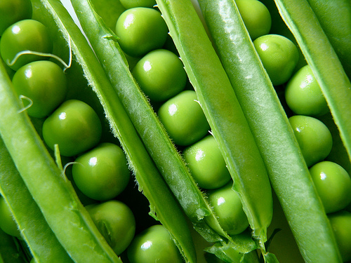 controle o diabetes através da alimentação, consumindo, por exemplo, alimentos ricos em fibras