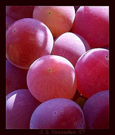 cor das frutas