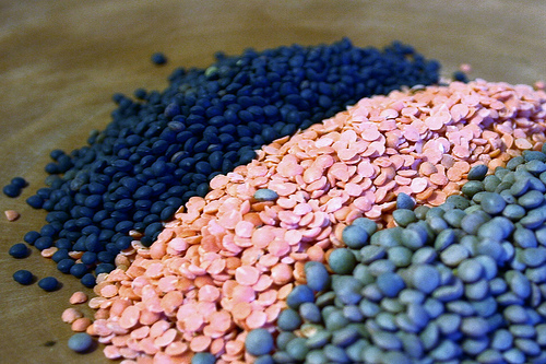 lentilhas. johnleesandiego