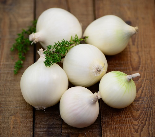 Os benefícios da cebola