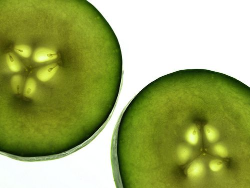 pepino. cathy.scola
