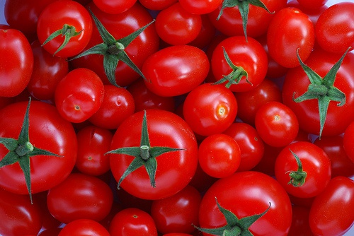 Tomate, uma ótima opção para perder peso