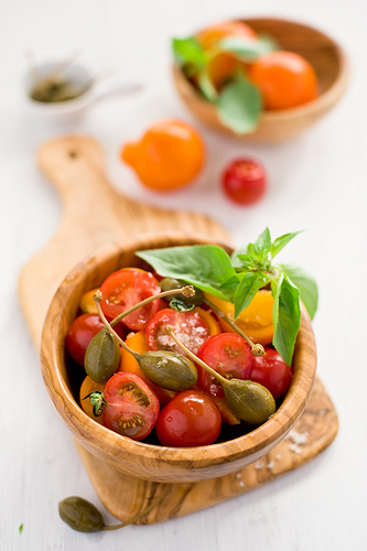 tomate.The Little Squirrel