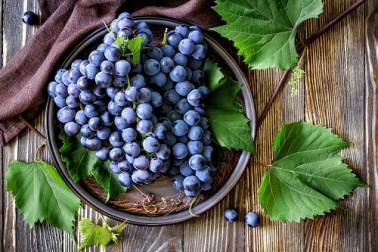 Resveratrol, em busca da longevidade