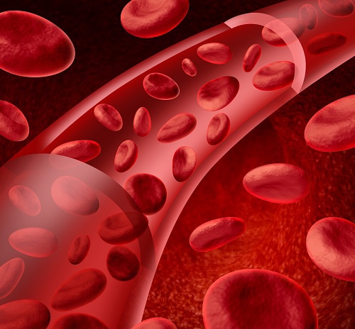 Como regular a espessura do sangue?