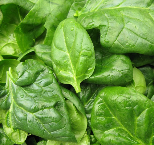 Espinafre para os cabelos