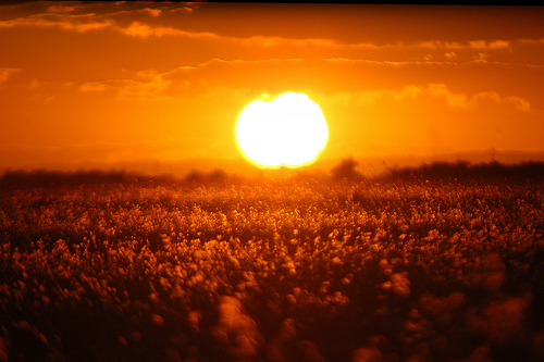 Sol, de mocinho a vilão Sol, de mocinho a vilão