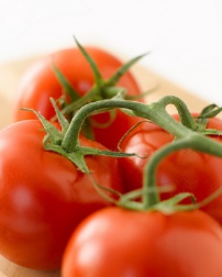 O tomate é uma rica fonte de vitamina A