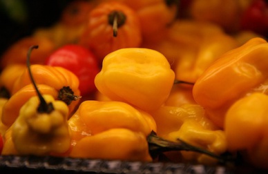 Os 6 melhores alimentos para perder peso