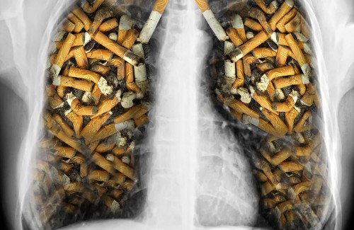 9 razões para parar de fumar 9 razões para parar de fumar