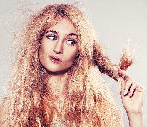 Gengibre para recuperar seu cabelo!