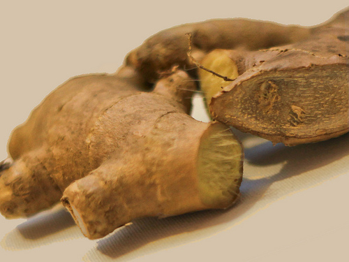 Gengibre para tratar a afonia e disfonia