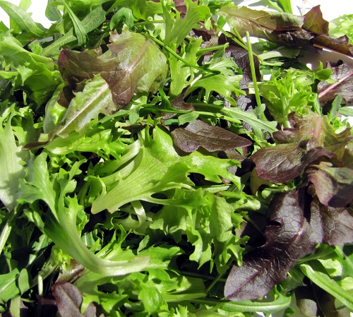 Uma das saladas mais deliciosas é a salada brasileira