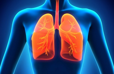 Como limpar os pulmões naturalmente