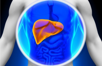 8 alimentos para depurar o fígado naturalmente