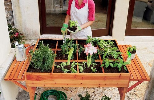 Como construir uma horta orgânica em casa?