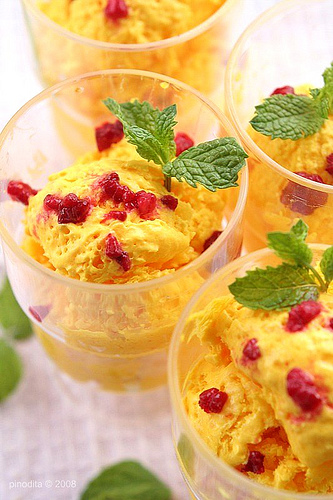 sorvete-manga.Pinot & Dita