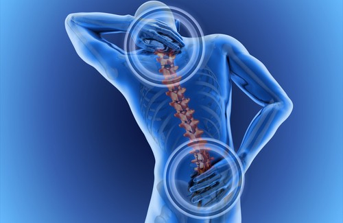Como combater e prevenir a dor nas costas?