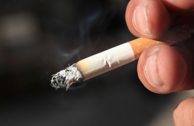 Cigarro: plantas que ajudam a se livrar desse mal