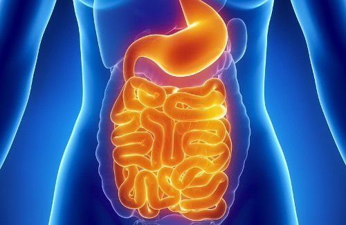 A água morna é muito benéfica para o sistema digestivo