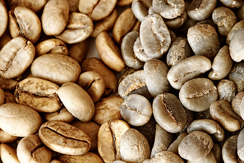 Conheça a dieta do café verde Conheça a dieta do café verde