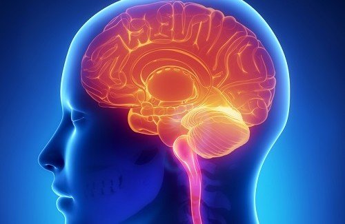 Dicas para manter o cérebro jovem