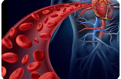 Remédios naturais e hábitos nutricionais para controlar a hipertensão