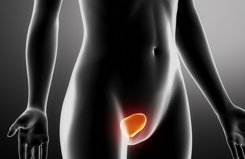 Como prevenir as infecções urinárias nas mulheres? Como prevenir as infecções urinárias nas mulheres?