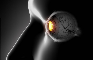 Vitaminas saudáveis que melhoram as vistas