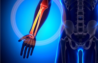 10 melhores alimentos para fortalecer os ossos