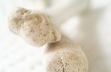 Nutrição para ossos fortes e saudáveis