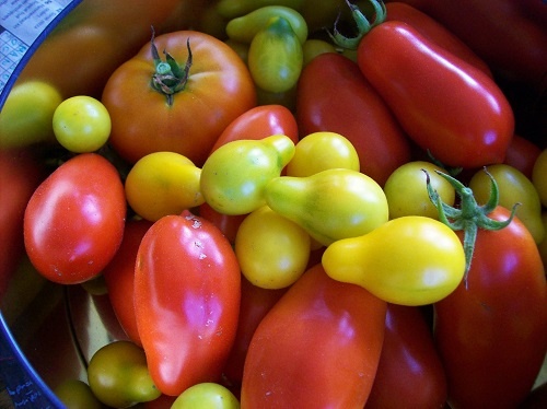 verduras para fortalecer os ossos