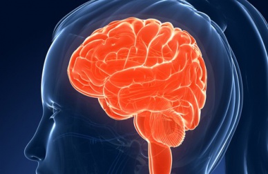 Os alimentos que afetam nossa memória e inteligência