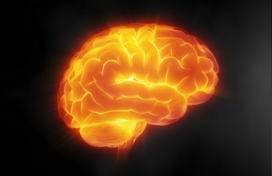 7 dicas para cuidar do cérebro