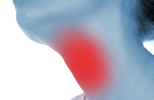 Ervas medicinais adequadas no combate ao hipotireoidismo Ervas medicinais adequadas no combate ao hipotireoidismo